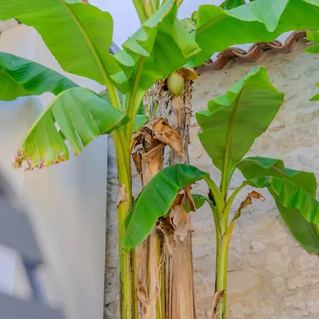 Prázdninový dům Enari House