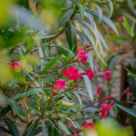 Enari House Prázdninový dům *