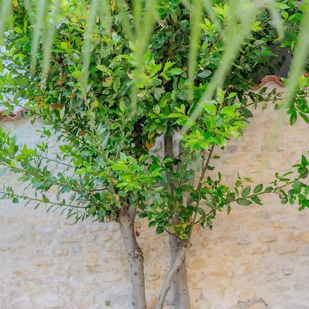 Prázdninový dům Enari House Périgny